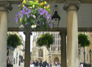 Bath: Looking Toward Abbey