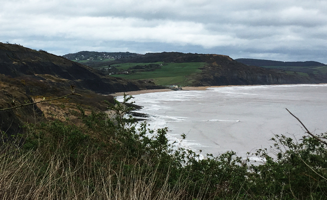 Charmouth from cliffs